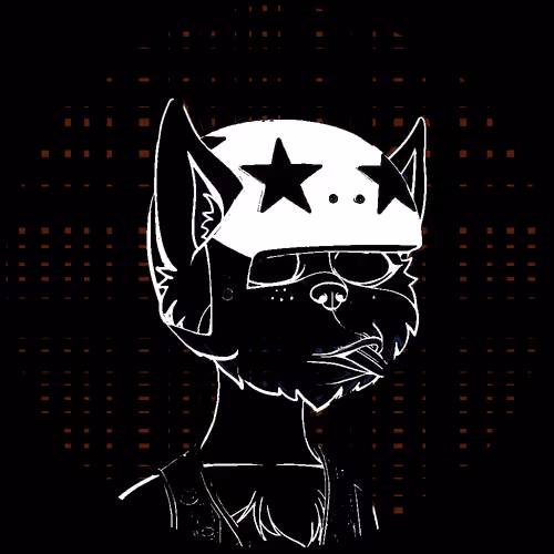 No Cat 1