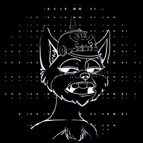 No Cat 1