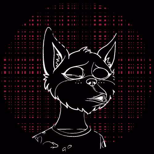 No Cat 1