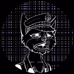 No-Cat #127