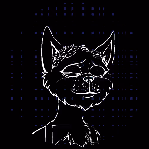 No Cat 1