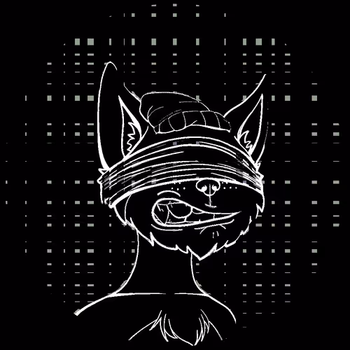 No Cat 1