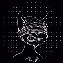 No-Cat #325