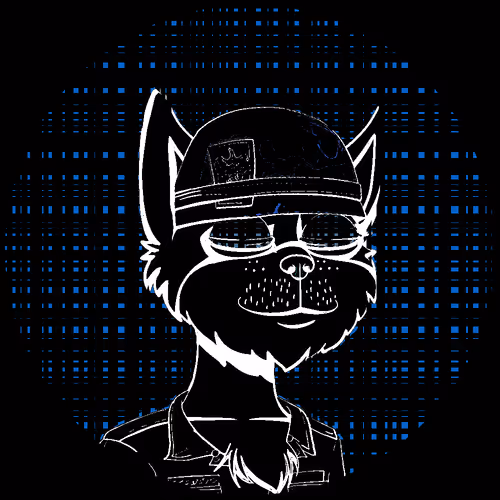No Cat 1