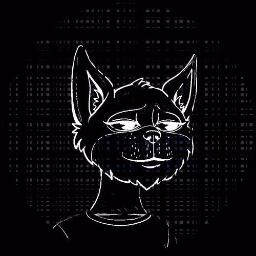 No Cat 1