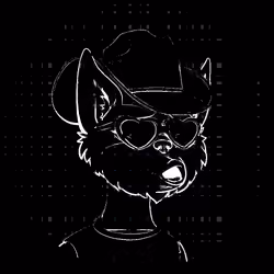 No-Cat #1348