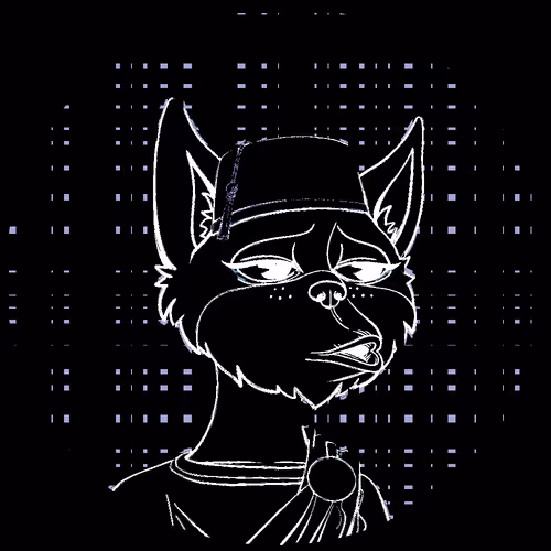 No Cat 1