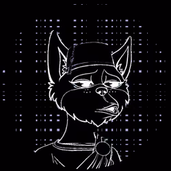 No-Cat #274