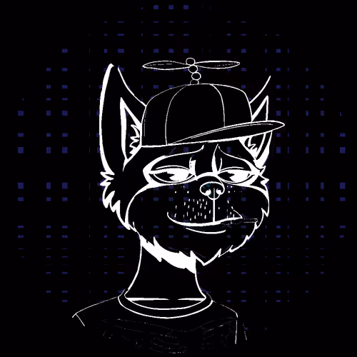 No Cat 1
