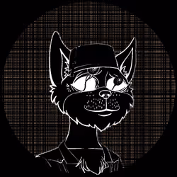No-Cat #1263
