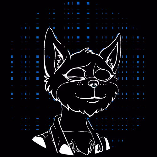 No Cat 1