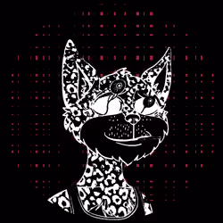 No-Cat #63