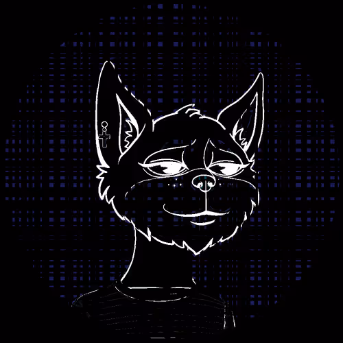 No Cat 1