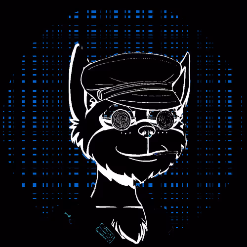 No Cat 1