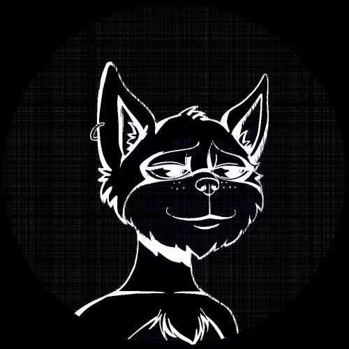 No Cat 1