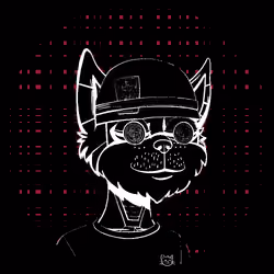 No-Cat #1057