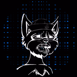 No-Cat #749