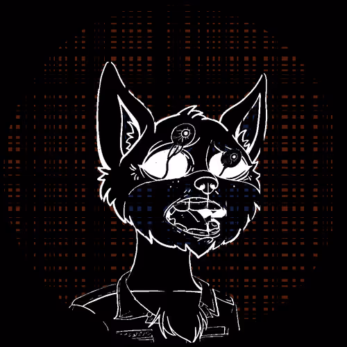 No Cat 1