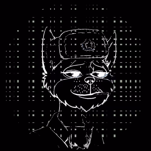 No Cat 1