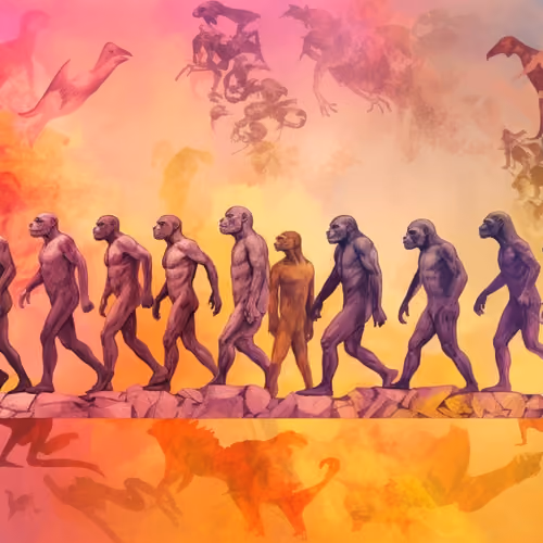 Evolution