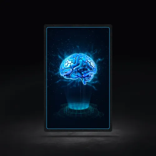 GWAY Brain #8359