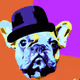 DEGENDog 2