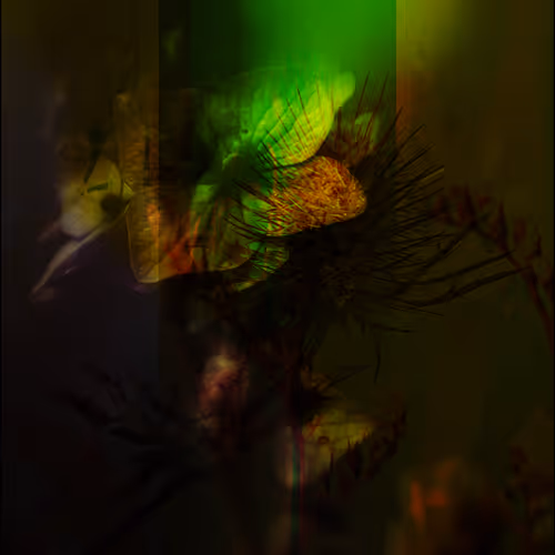 Dark Release
