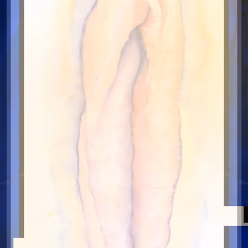 La Vulva