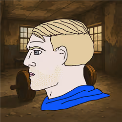529