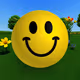 Initial Test
