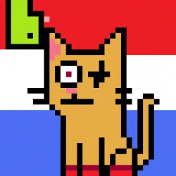 84