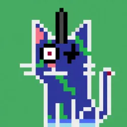 91