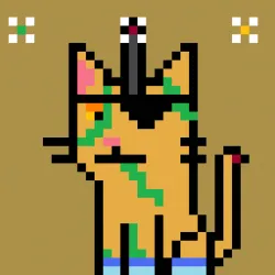 64