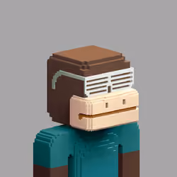 Voxel Degens