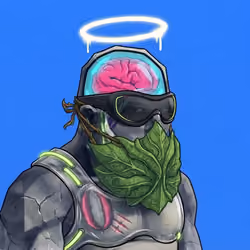 621