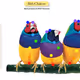 Birb