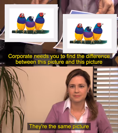 Item #14 Media