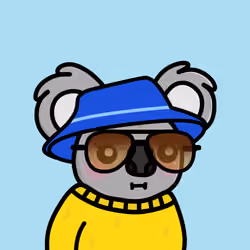 Koala Day #251