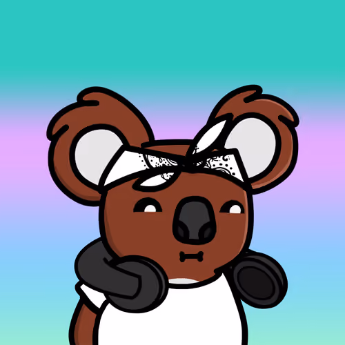 Koala Day #503