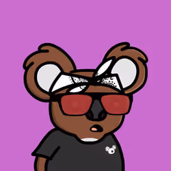 Koala Day #19