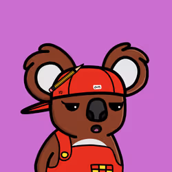 Koala Day #269