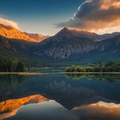 Nature Reflects