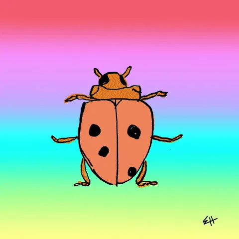 Item #5062729825356092530626749174669795852437633620670311284842216689714455379979 Media