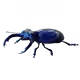 Sapphire Stag Beetle Breaker by Angus Bodangus