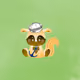 squirrel pirat #347
