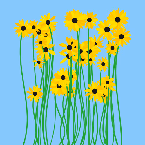 A Bunch Of Yellow Flowers