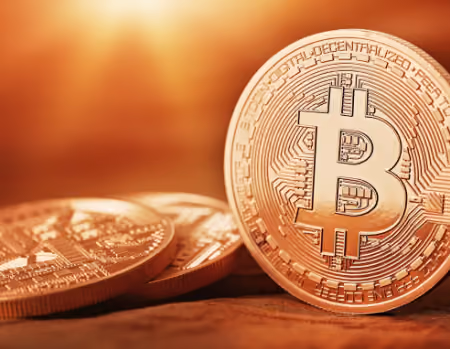 Stand with crypto Bitcoin #2