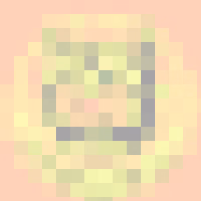 Item #17 Media