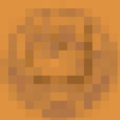 Item #23 Media