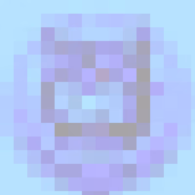 Item #16 Media